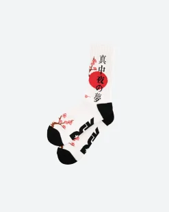Accord Socks