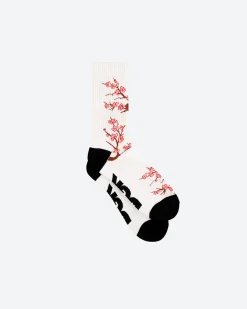 Accord Socks