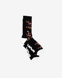 Accord Socks